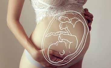 Клетки плаценты излечивают после инфаркта и восстанавливают сердце: ученые