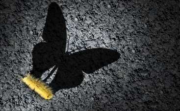 Мечтать опасно: почему некоторые желания могут разрушить вашу жизнь