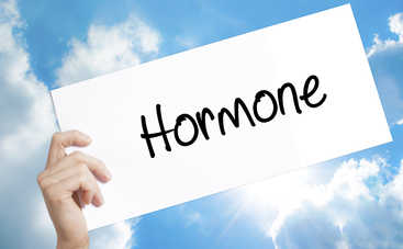 Расписание гормонов: подсказки организма, как эффективно планировать свой день