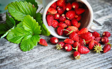 Что приготовить детям из клубники и земляники: безе с земляникой