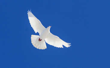 Троица 2019: что можно и нельзя делать в праздник