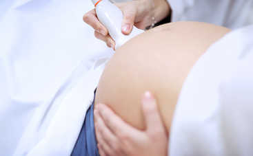 Трансвагинальное и абдоминальное УЗИ при беременности: что показывают, для чего их делают