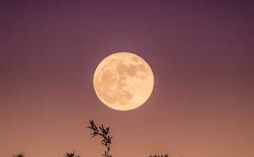 Полнолуние 17 июня 2019 года: что принесет каждому знаку Зодиака