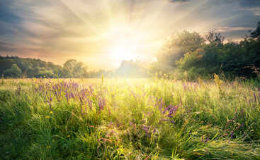 День летнего солнцестояния 21 июня: как он повлияет на вашу жизнь