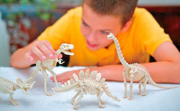 Ребенок будет в восторге: делаем из подручных средств окаменелые скелеты динозавров