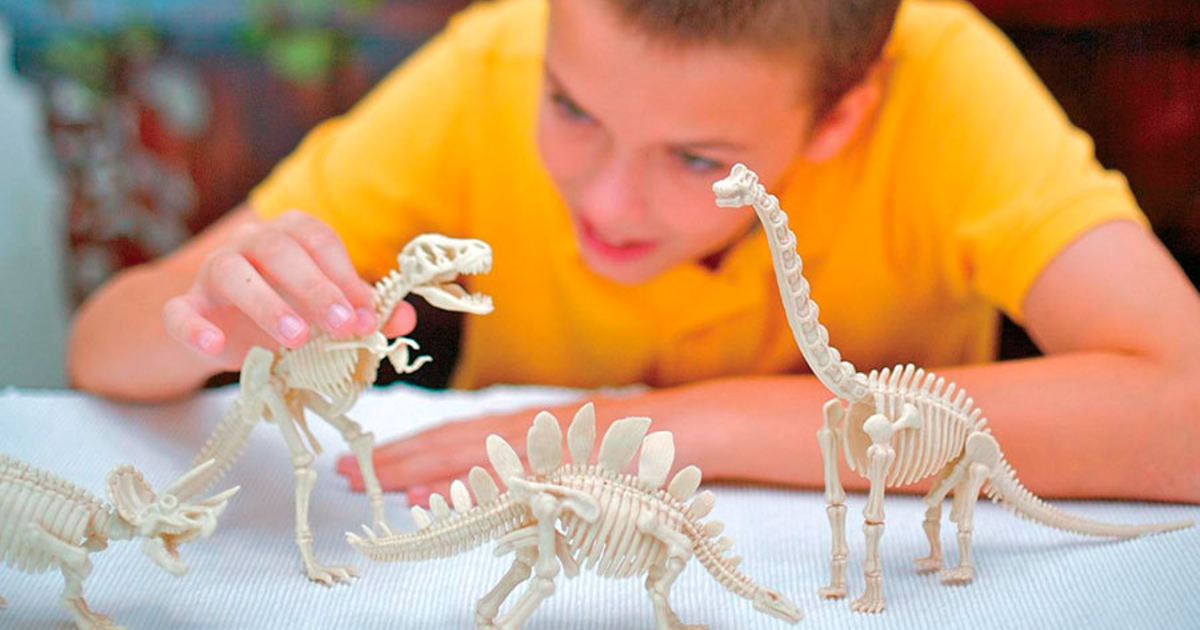 Динозавры играют дети. Набор 4m скелет Брахиозавра. Раскопки динозавров Дино. Палеонтология для детей. Детские раскопки динозавров.
