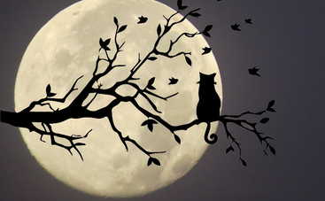 Лунный гороскоп на 9 июля 2019 года для всех знаков Зодиака