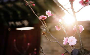 Гороскоп на 12 июля 2019 года для всех знаков Зодиака