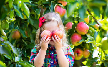 Осторожно! 5 опасностей, которые подстерегают детей на даче