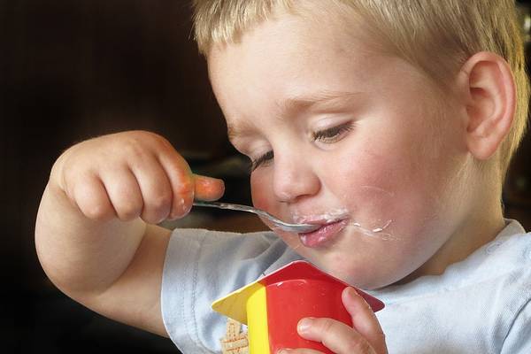 Молочные продукты летом Молочные продукты летом