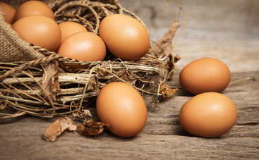 Почему необходимо мыть куриные яйца перед использованием?