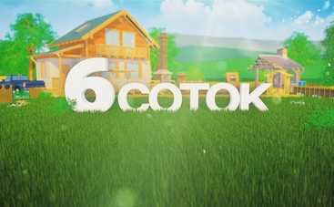 Шесть соток: смотреть выпуск онлайн от 03.08.2019