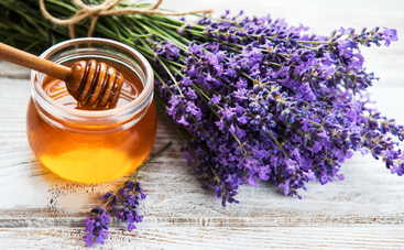 Медовый Спас: что можно и нельзя делать