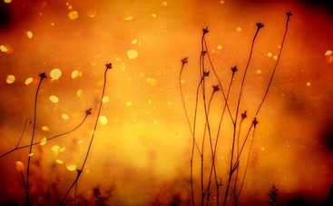 Гороскоп на 22 августа 2019 года для всех знаков Зодиака