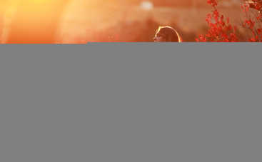 Осенняя беременность: 5 вещей, которые нужно обязательно сделать