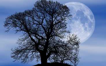 Лунный гороскоп на 14 сентября 2019 года для всех знаков Зодиака