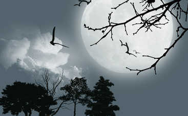 Гороскоп на 14 сентября 2019 года для всех знаков Зодиака