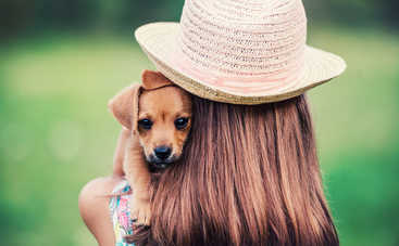 Как научить ребенка правильно обращаться с животными