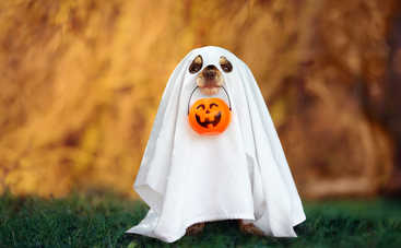 Хэллоуин 2019: как празднуют День всех святых в разных странах