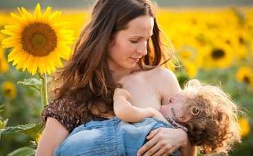 Грудное вскармливание: главные плюсы