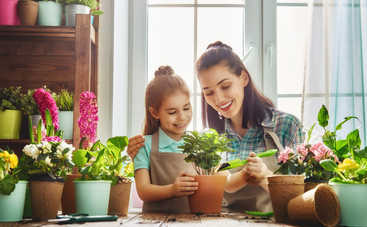 Выбираем комнатное растение по знаку Зодиака