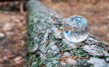 Гадания на старый Новый год: как узнать свою судьбу?