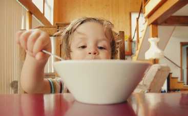 Как уговорить привередливого ребенка поесть: советы от родителей