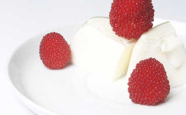 Что приготовить школьнику на завтрак: сметанное желе