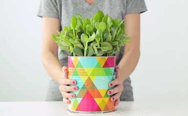 Что сделать с банками из-под молочной смеси: 7 крутых идей