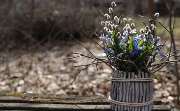 Вербное воскресенье 2020: ритуалы для привлечения счастья