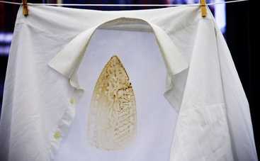 Как убрать пятно от утюга с ткани: 3 проверенных способа