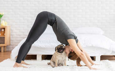 Как сжечь максимум калорий сидя дома