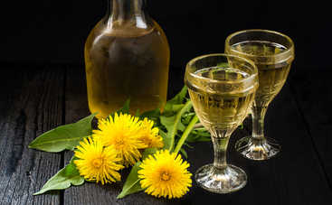 Как приготовить вино из одуванчиков