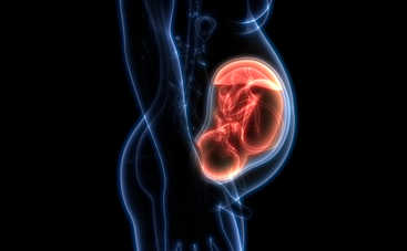 ТОП-5 удивительных фактов о малышах в утробе