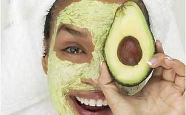 Выращиваем авокадо в домашних условиях: пошаговая инструкция