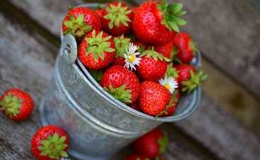 Как правильно выбирать клубнику: лайфхаки от Юлии Панковой