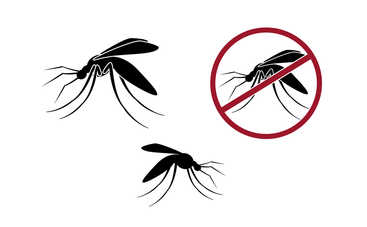 Эксперты развенчали мифы о комарах и рассказали, чем они опасны