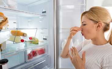 Как избавиться от неприятного запаха из холодильника: ТОП-5 проверенных советов