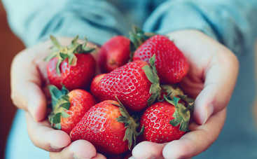 Сколько клубники можно съесть за один день?