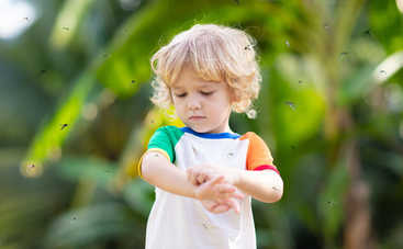 ТОП-3 причины, почему именно вас кусают комары