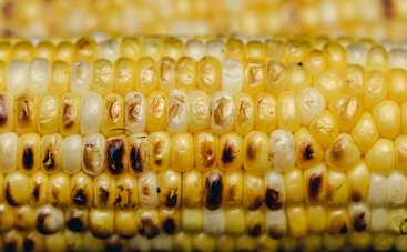 Секреты приготовления: как правильно отварить кукурузу