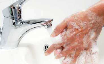 Какие продукты необходимо обязательно мыть перед едой: вы удивитесь