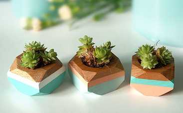 Как сделать горшок для цветов своими руками в домашних условиях: инструкция пошагово