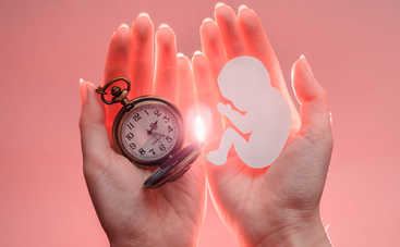 Заморозка яйцеклеток: плюсы и минусы