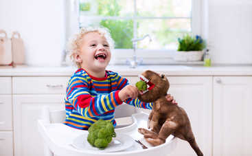 4 быстрых и вкусных рецепта с брокколи