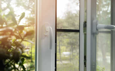 Как избавиться от плодовых мушек в доме