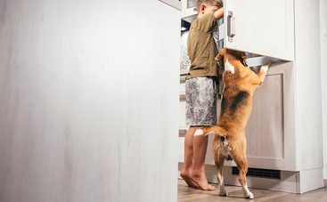 Ребенок проглотил несъедобный предмет: инструкция от доктора Комаровского