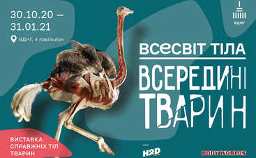 Анатомическое сафари: возвращение шокирующей выставки настоящих тел