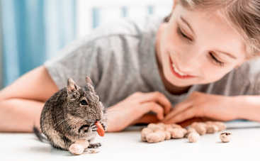 Орехи в рационе ребенка