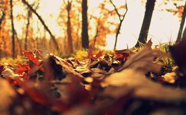 Гороскоп на 18 ноября 2020 для всех знаков Зодиака